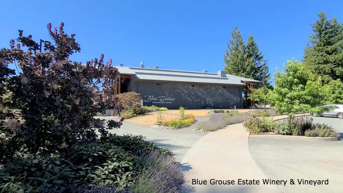 Blue Grouse Estate Winery