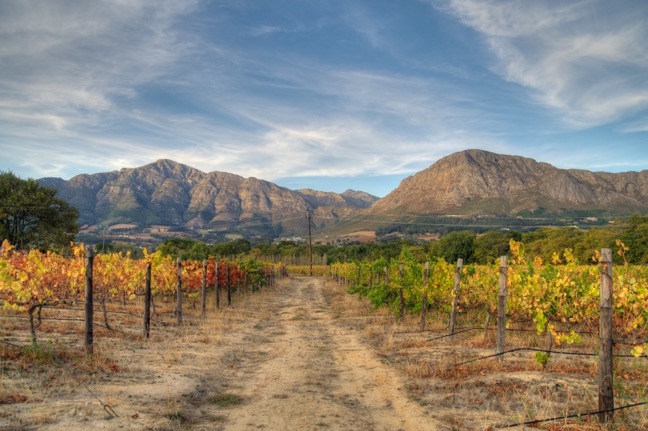 franschhoek.jpg