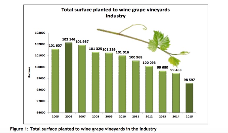 surface_planted_to_wine_grapes.jpg