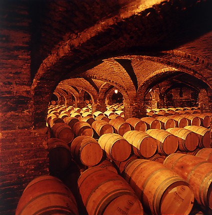 2003 Chilean Harvest Report