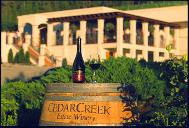 Lt. Gov. Buys B.C. Wine