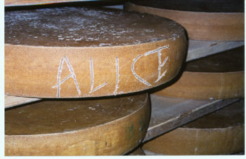 les amis du FROMAGE has moved.