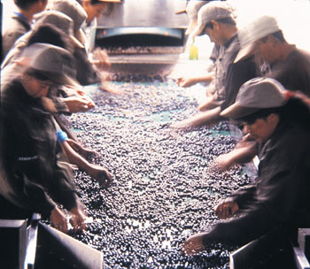 Chile's Not so Hot Reds