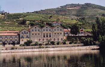 Douro Reds Are Hot