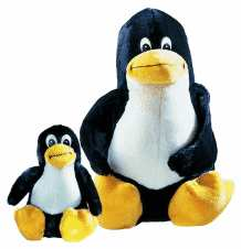 Penguins, Crocodiles, and Koala Bears...