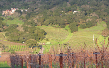 California Wine Fare