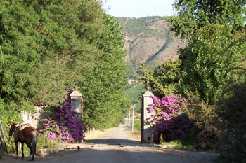 Treking in Chile