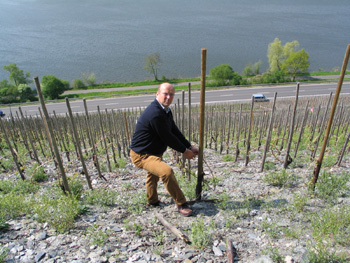 Riesling: The Next White Now