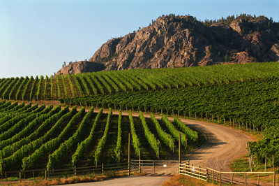 Jackson-Triggs Leads Okanagan Renaissance
