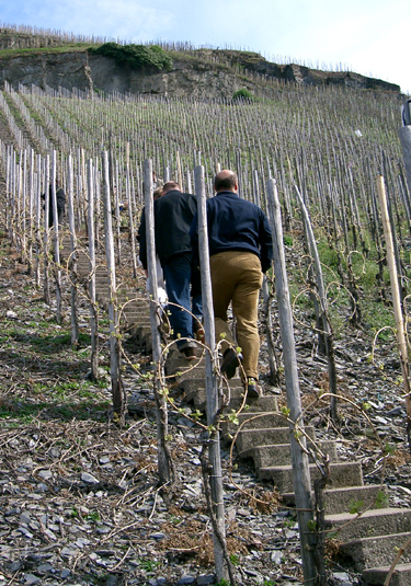 Riesling So Cool it is Hot to Serve