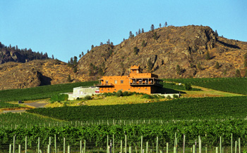 B.C. Vintners Get a New Set of Wine Laws - Maybe