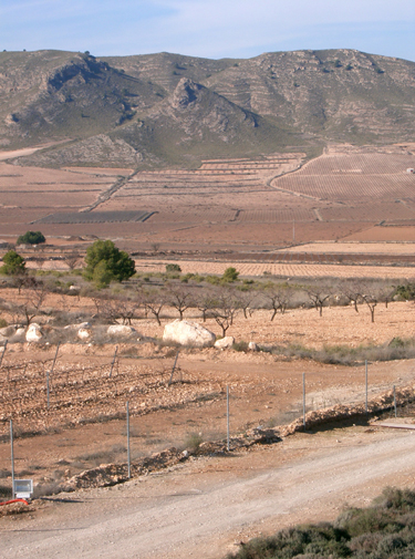 A Look Back (2004) and Forward (2005)