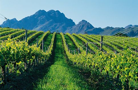 New Releases Help Prepare Palate For South African Visit
