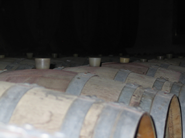 Late Bottled Vintage Port (1994)