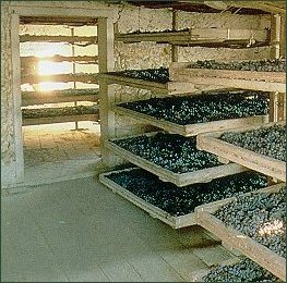 Learning About Wine - The West Coast Way