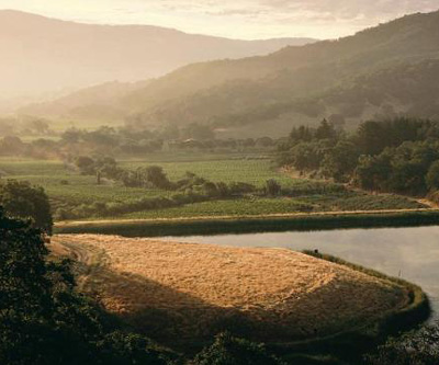 California Wine is Trending Sideways and Up-ways