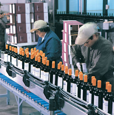 Chilean Wine - A New Promise