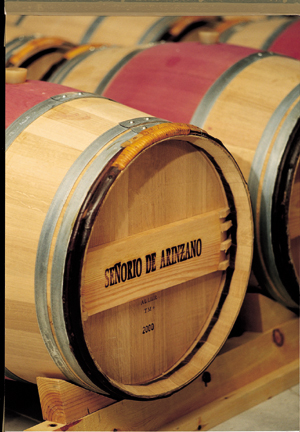Spain, Tapas and Wine for the 00s