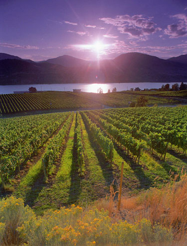 B.C. Lt.-Gov. Awards 2005