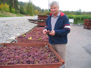 Harmon Farms Buys Lang Vineyards