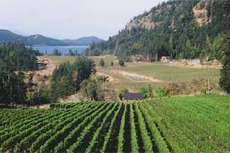 Saturna Winery Appoints a New Winemaker