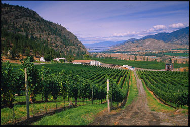 Wine Access 2006 Canadian Wine Awards Head for Penticton