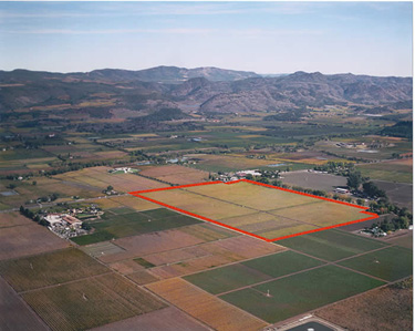 Beckstoffer Preserves Historic Tokalon Vineyard