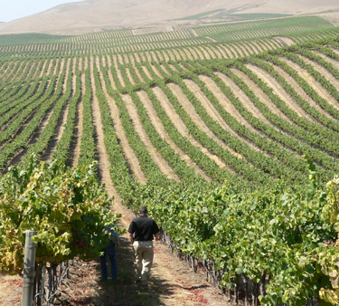 KJ Wine Center Offers High-end Food and Wine Match