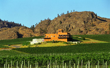 Touring B.C. Wine Country Gets Serious