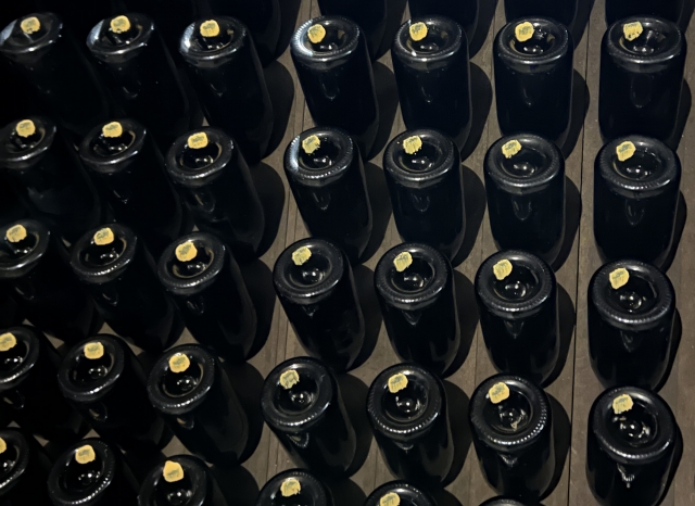 Our 2024 Annual Sparkling Wine Report 