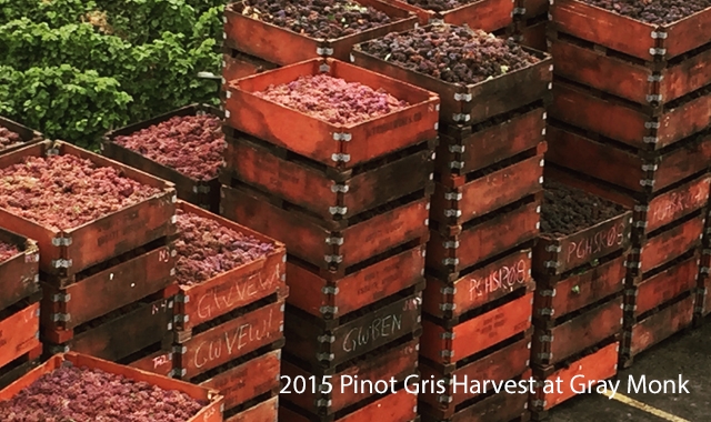 B.C. Pinot Gris