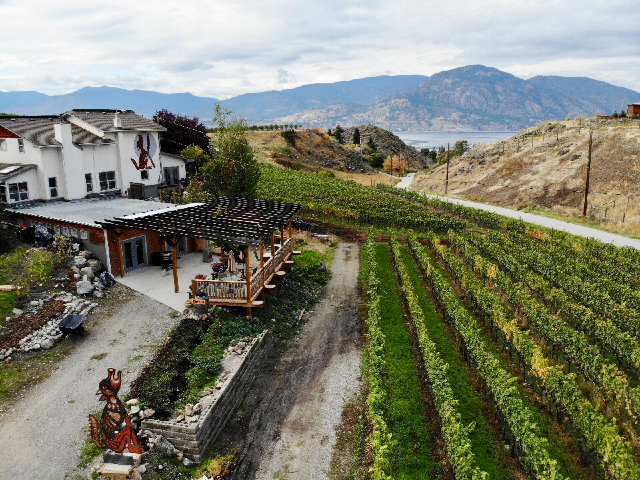 BC Grape Harvest 2020