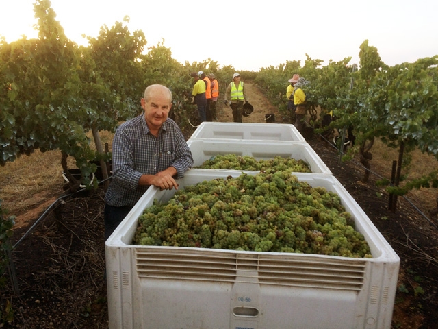 Harvest Report: Clare Valley 2014 -2015