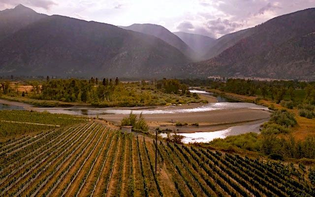 Story and Emotion in Wine Writing 