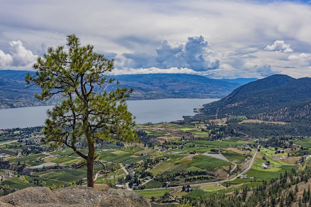 Summerland Bench