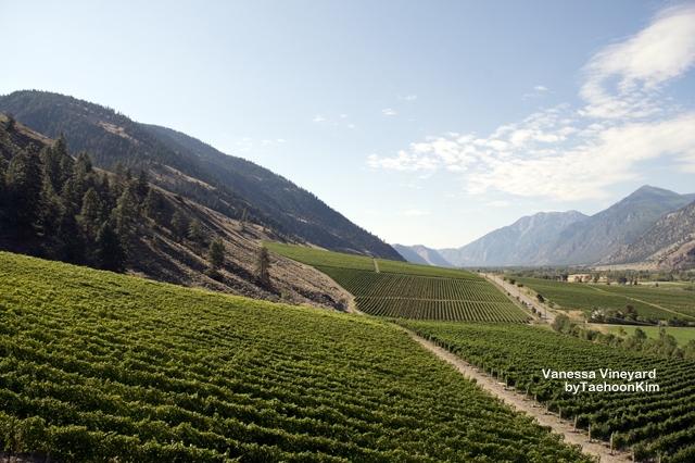 Top 10 : Canadian Wine Moments 