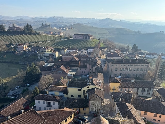 Piemonte Whites