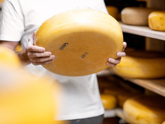 European Raw Milk Ban