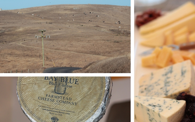 Point Reyes Farmstead Cheese Co.