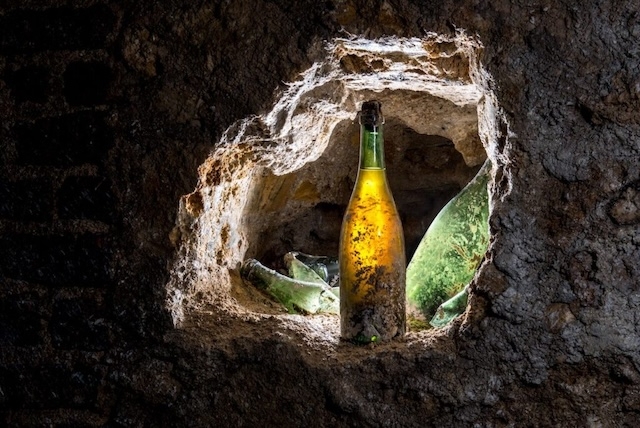 Our 2025 Annual Report on Champagne 