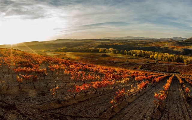 Rioja - Rediscovering Terroir, Celebrating Tradition