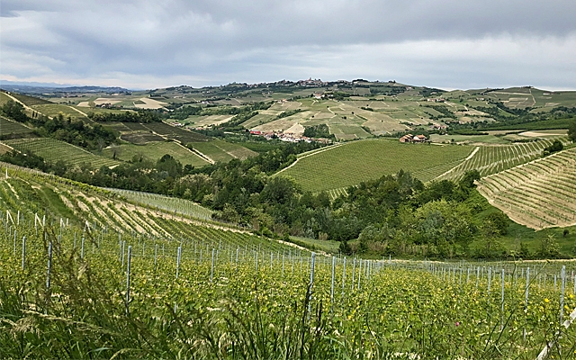 Top 10 : Barolo