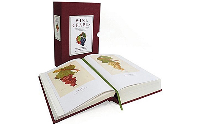 The Library : Wine Grapes 