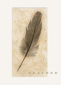 Feather Cabernet Sauvignontext
