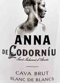 Anna de Codorníu Blanc de Blancs Cava Bruttext