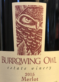 Burrowing Owl Merlottext