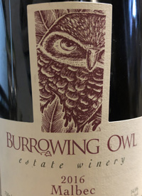 Burrowing Owl Malbectext