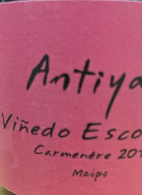 Antiyal Carmenere Vinedo Escorialtext
