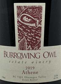 Burrowing Owl Athenetext