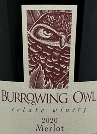 Burrowing Owl Merlottext